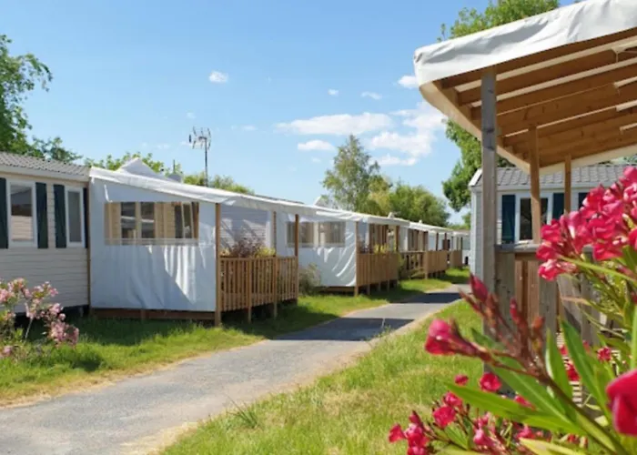 Le Petit Mobilhome De Charlotte - Georges De Didonne *